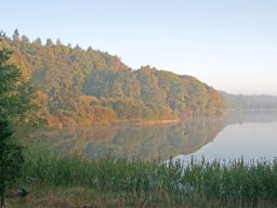 IMGP8830-Halsoe-i-morgenlys